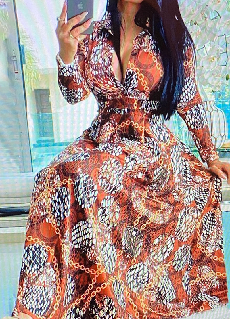 Wild One Shirt Dress