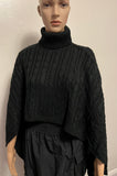 Turtle Neck Cropped Sweater